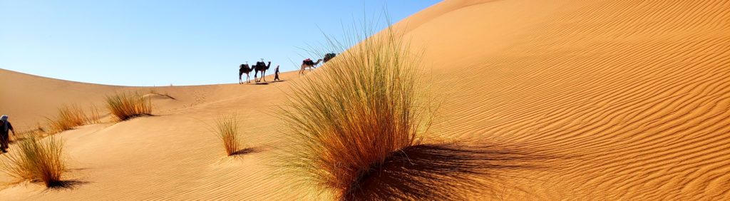 Festival des nomades dans le désert @ Désert Sahara | Maroc